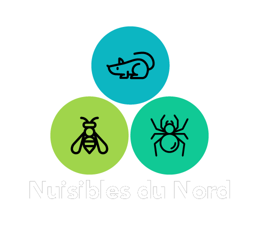 Nuisibles du Nord|Un engagement qualité pour vos traitements anti-nuisibles dans les Hauts-de-France