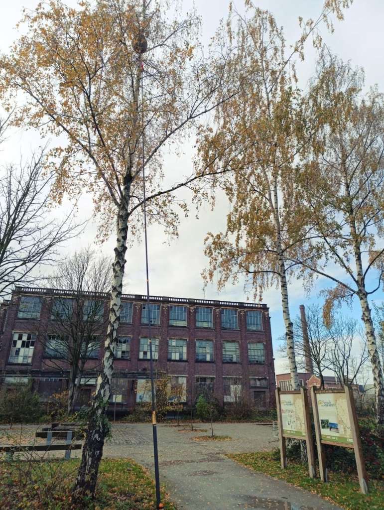 image Nuisibles du Nord | Double intervention sur Tourcoing